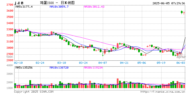 涨跌两难，2025年6月5鸡蛋价格行情参