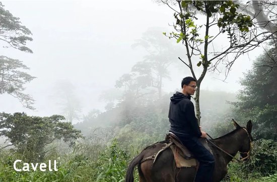 张向东：展望2025，有机食物与未来的探索和实践