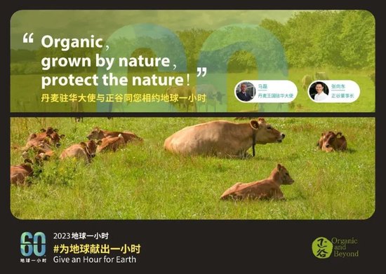 张向东：展望2025，有机食物与未来的探索和实践