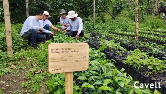 张向东：展望2025，有机食物与未来的探索和实践