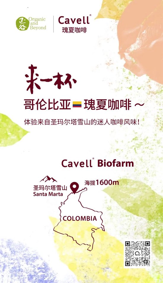 张向东：展望2025，有机食物与未来的探索和实践