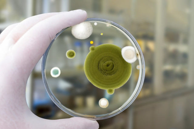 银行卡的生物识别技术普及率高吗？