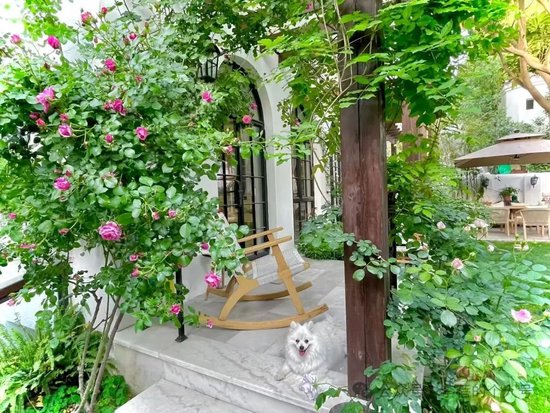 蓓总：贬低业绩可以忍，贬低颜值不能忍！