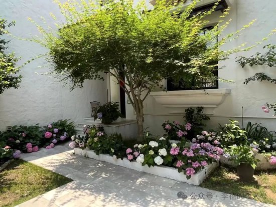 蓓总：贬低业绩可以忍，贬低颜值不能忍！