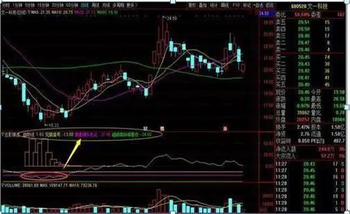 巴菲特点破中国股市:为什么股票业绩好,却就是不涨?你知道怎么回事?难道是还不具备投资价值?