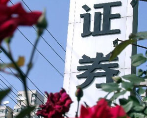 如何选择适合的证券交易软件？这些软件有什么优势？