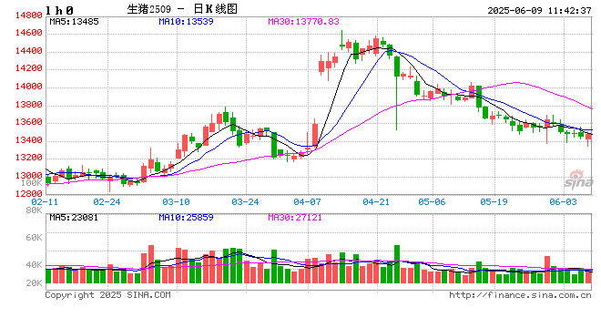 猪市供增需减 全国均价跌破“7元”