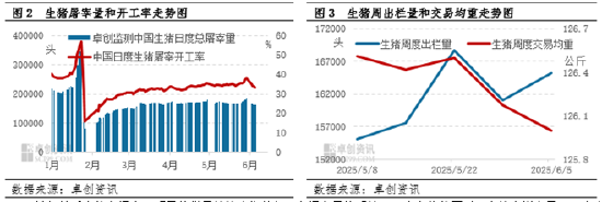 猪市供增需减 全国均价跌破“7元”