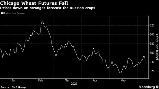 小麦价格从七周高点回落 受俄罗斯小麦产量前景影响