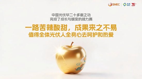 协鑫集团朱共山:以牺牲合理利润为代价的极致降本、极限竞争,无异于饮鸩止渴