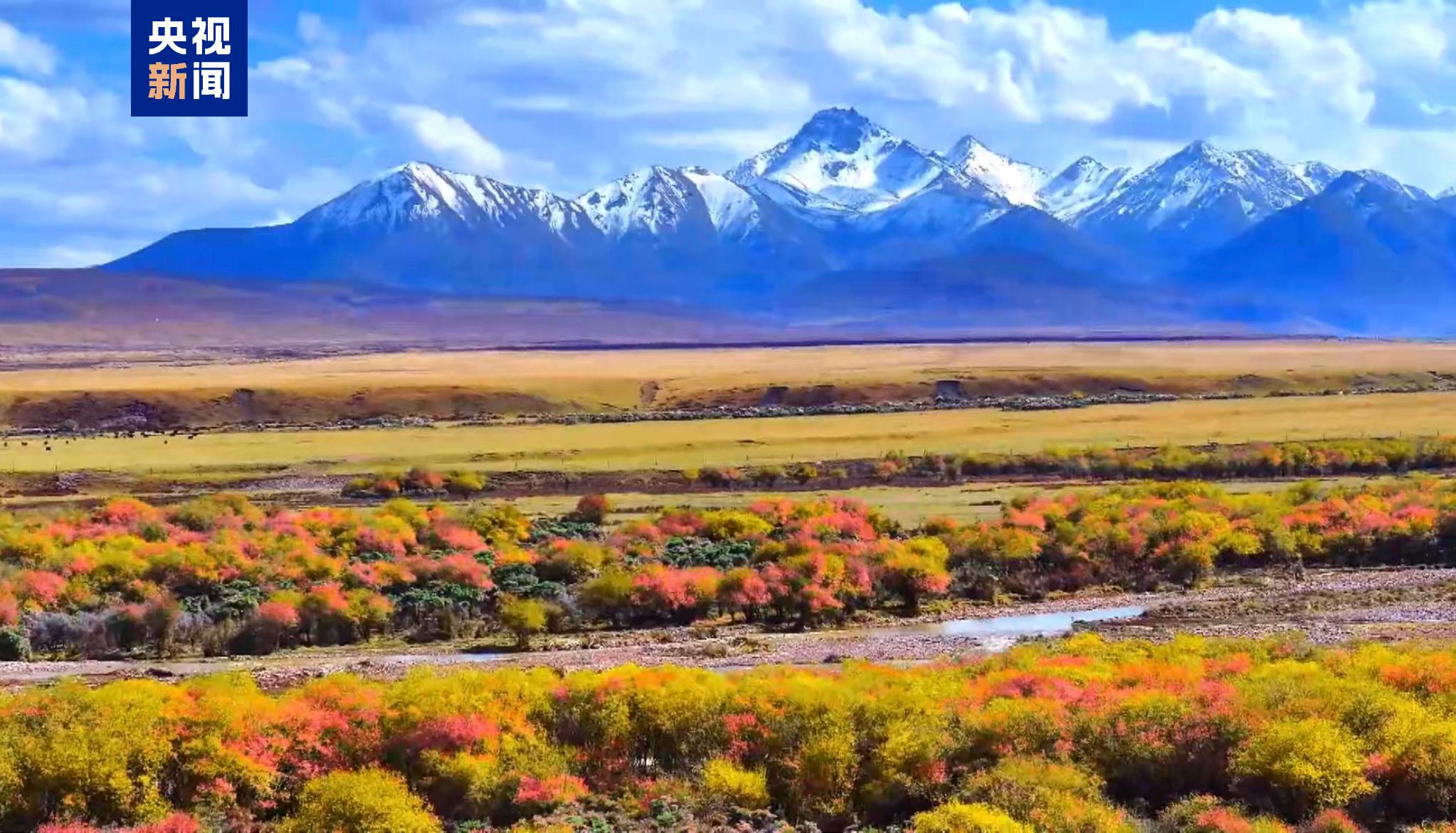 甘肃规划河西走廊遗产保护，构建“一带六市多点”布局