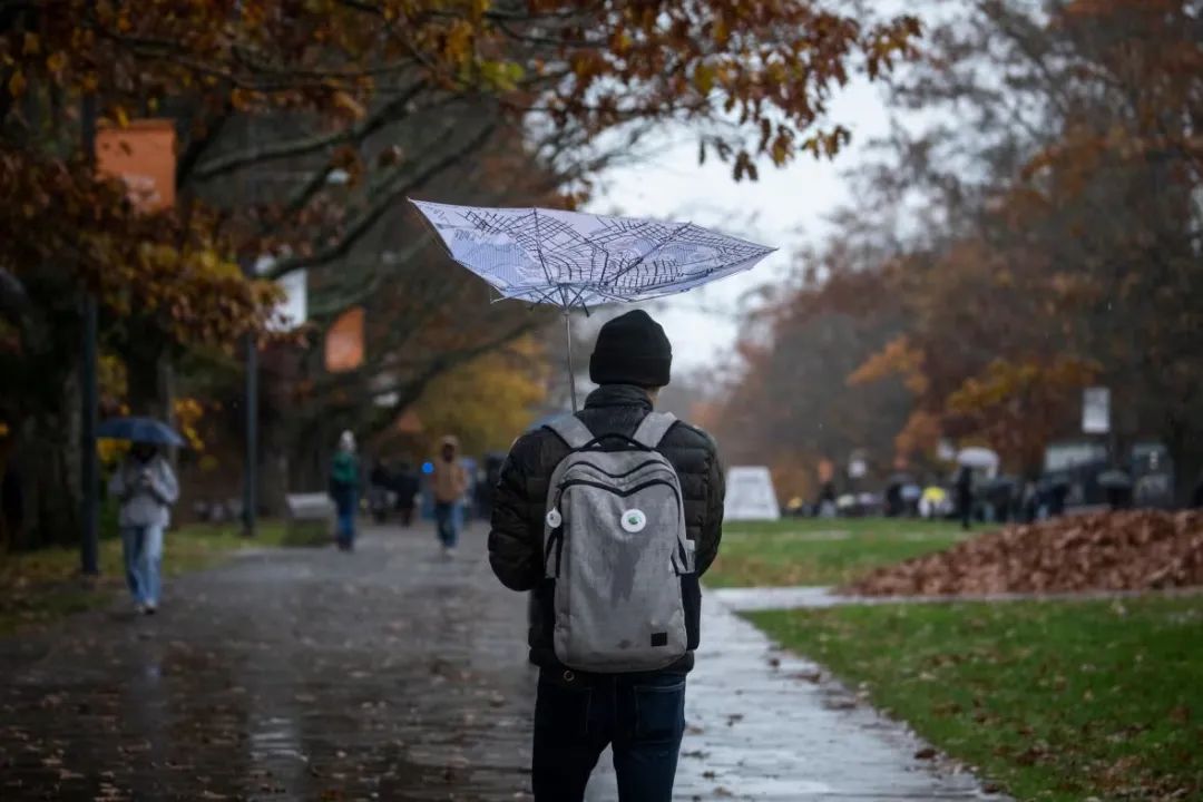 加拿大陷完美风暴：青年失业破表、贸易挨刀、货币塌方？