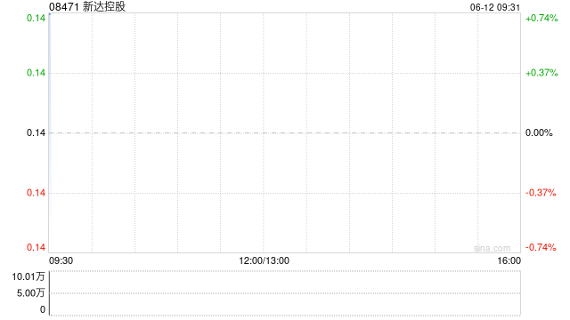 新达控股完成配售合共2.04亿股 净筹约2000万港元