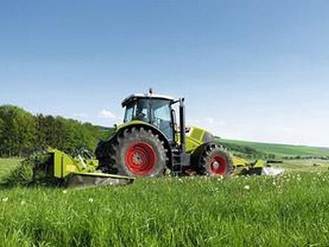 如何准确查询土地相关信息？查询途径和方法有哪些？