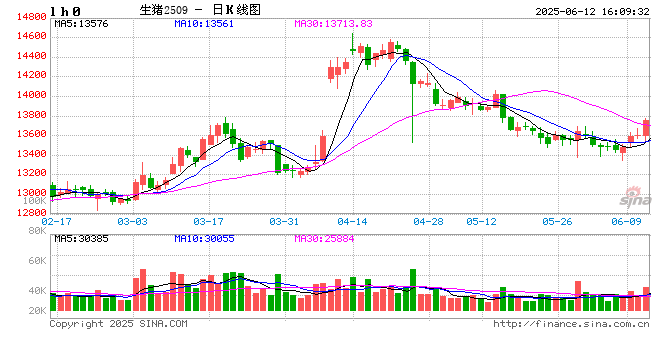 1万吨收储登场:生猪市场“强心针”能否稳住跌势?