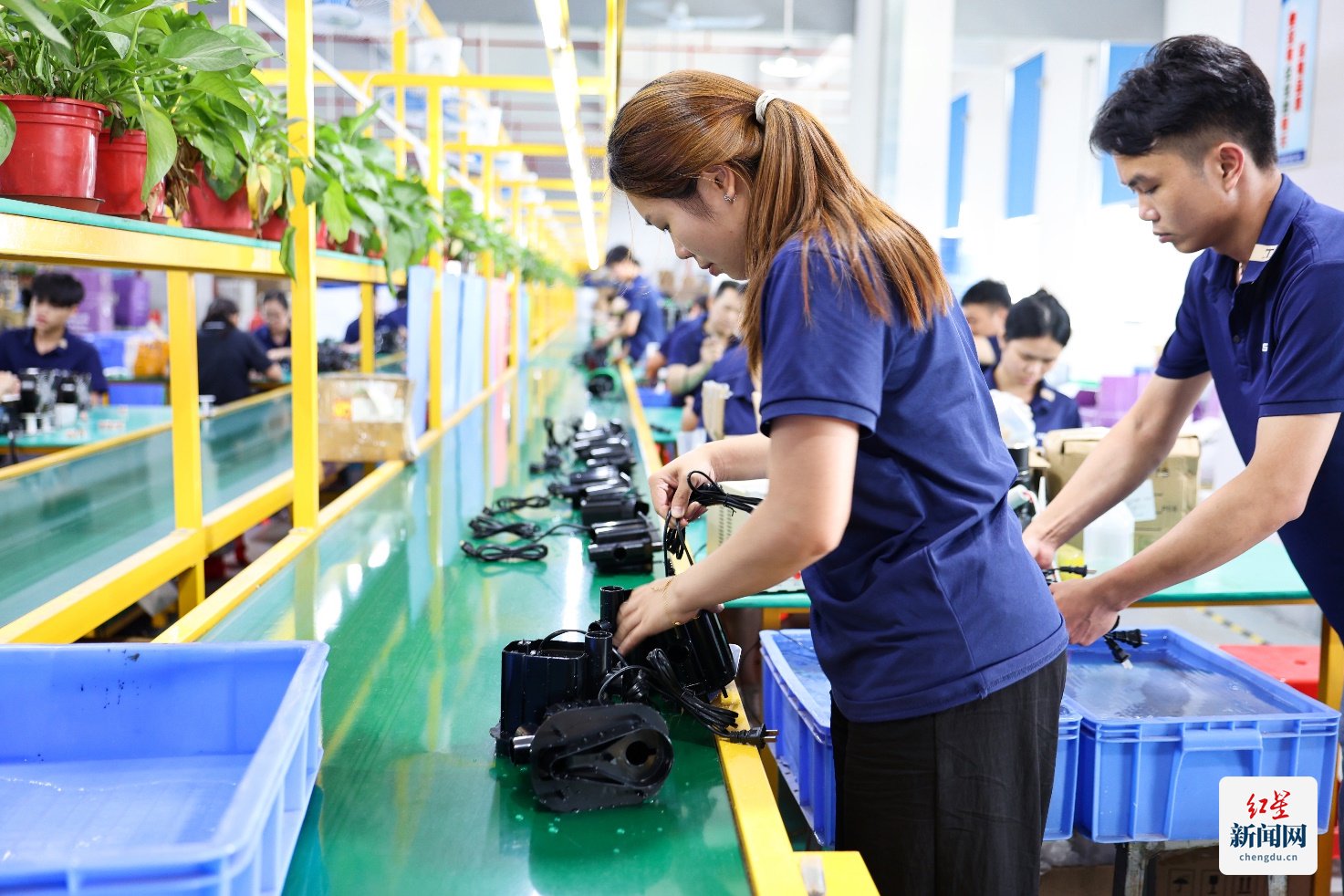 拼多多千亿扶持搭台 小鱼缸在电商西进中找到大商机