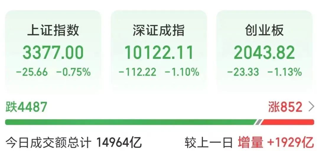 002393，午后逆势涨停