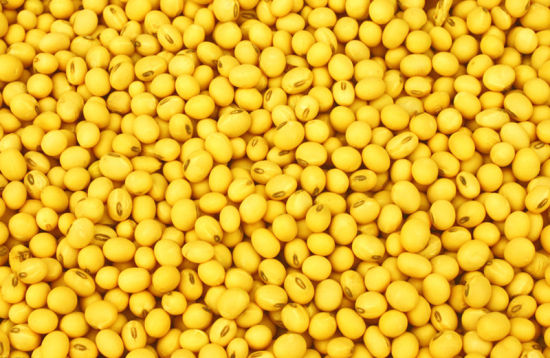 大豆原油有哪些用途？这些用途对期货市场有何影响？