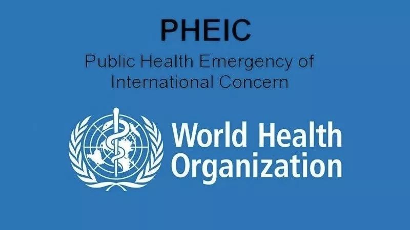 IC表什么意思？其含义对相关期货交易有何作用？