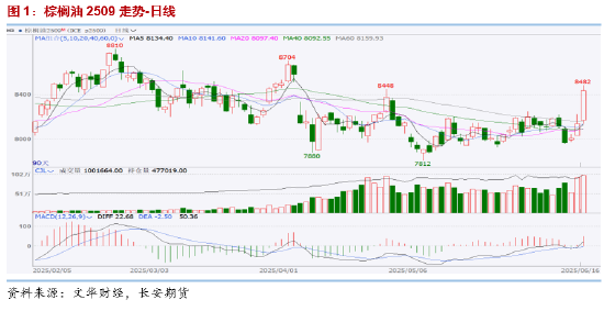 长安期货胡心阁:美国生柴政策超预期利多,油脂工业需求或存中长期支撑