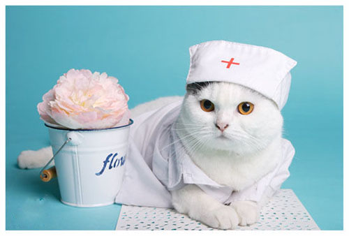 如何正确使用大额医疗？大额医疗使用规则是什么？