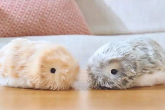 不投具身的朱啸虎,投了小鹏机器人前成员做的 AI 潮玩