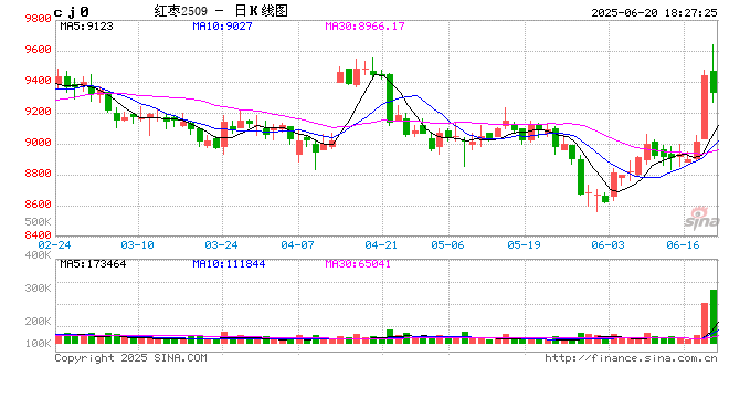 新疆地区红枣坐果调研报告