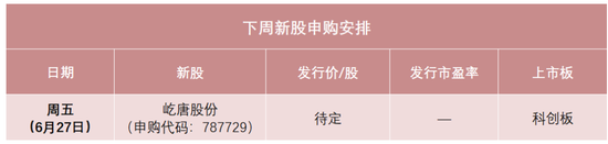 半导体龙头来了！中签率可能较高