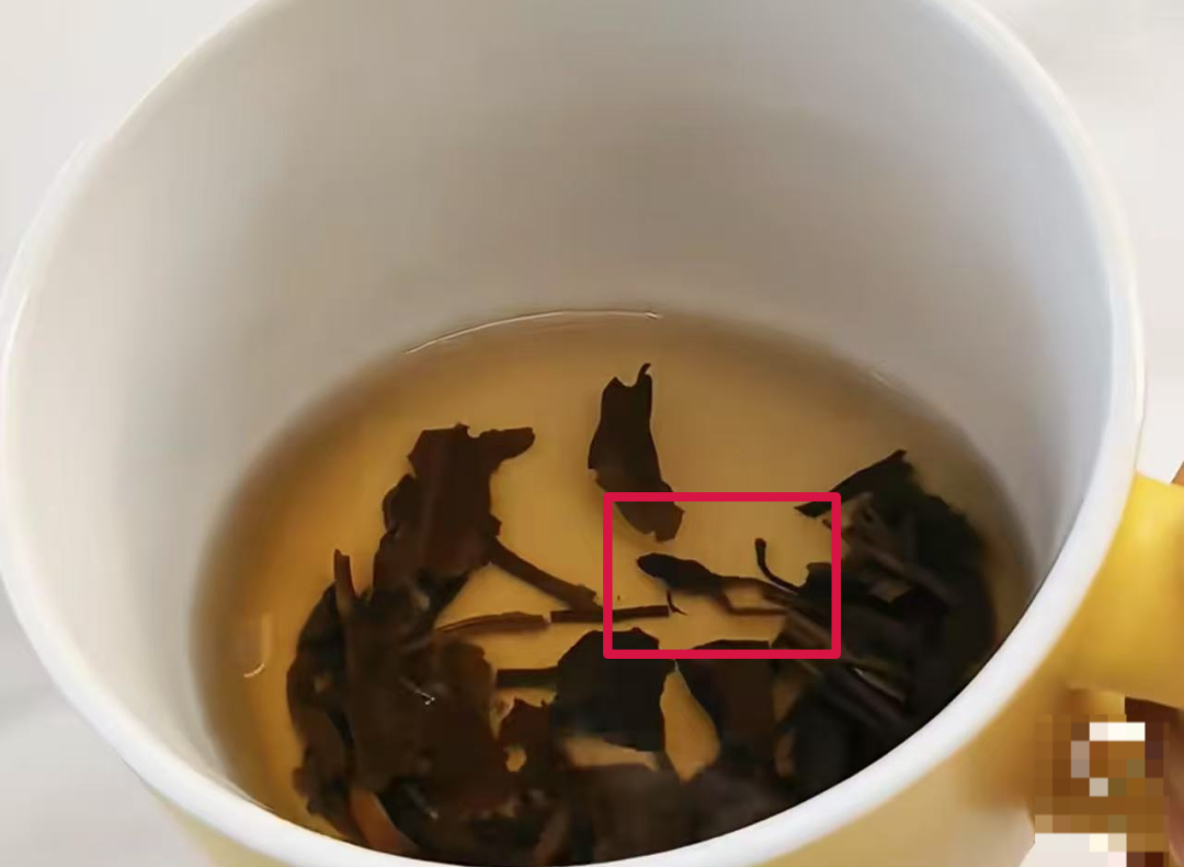 知名茶饮被曝喝出青蛙，当事人：太恶心了，差点喝进嘴里
