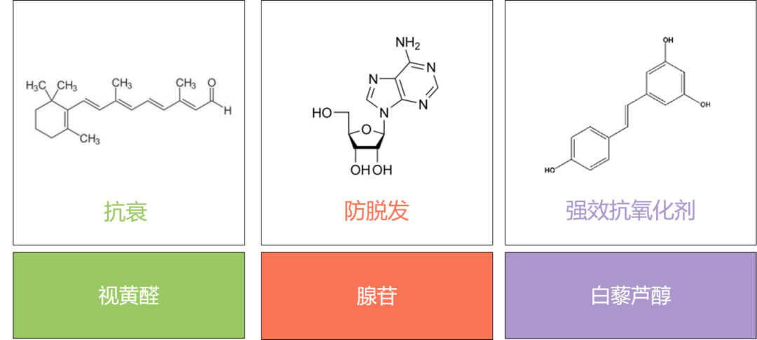 明天见！精化快车与您相约CPHI China 2025，共启国际化新征途！