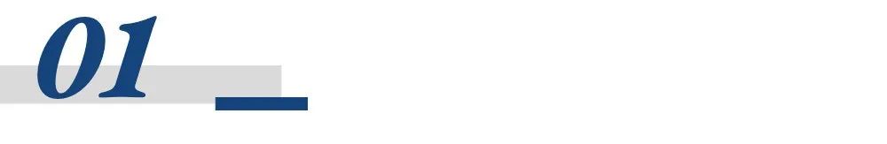 科技驱动全球布局！新希望海外饲料剑指400万吨新增量，锻造“第三增长极”