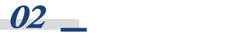 科技驱动全球布局！新希望海外饲料剑指400万吨新增量，锻造“第三增长极”