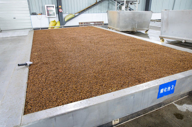 如何合理控制固态投资风险？固态投资风险控制的方法和意义是什么？