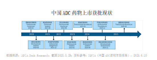 国产ADC崛起！创新药短期波动不改长期价值！