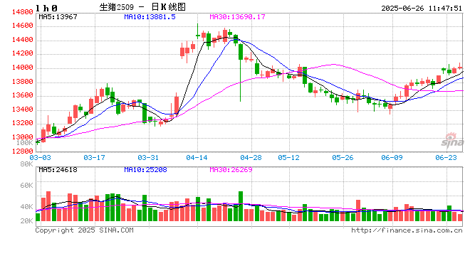 2025年国内或呈现生猪均价弱、玉米均价强的运行趋势