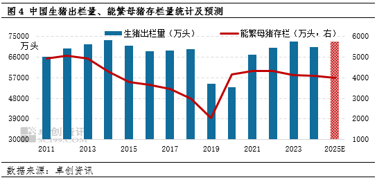 2025年国内或呈现生猪均价弱、玉米均价强的运行趋势