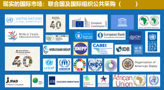 中国联合国采购促进会宋嘉：企业出海是一种战略选择