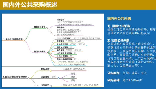 中国联合国采购促进会宋嘉：企业出海是一种战略选择