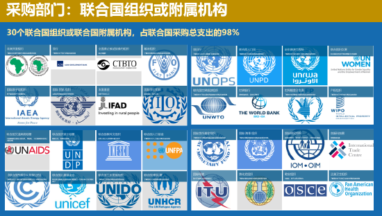 中国联合国采购促进会宋嘉：企业出海是一种战略选择