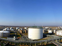 如何理解一手甲醇期权特点？这对交易策略有何影响？