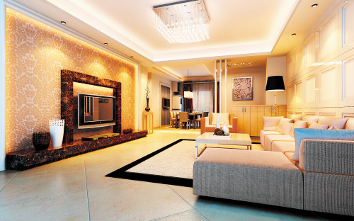 如何解决家居设施常见问题？应对马桶堵塞有何办法？