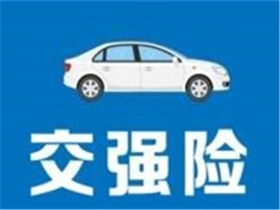强险单丢了该如何处理？处理流程和注意事项有哪些？