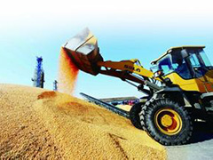 如何寻找拉玉米货源与期货交易关联？两者关联对交易有何影响？