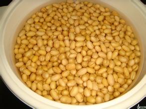 如何计算cbot大豆美分价格？价格计算对交易决策有何作用？