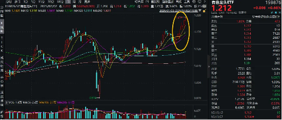 美国“大而美”法案，引发铜价飙升，黄金大涨！有色龙头ETF（159876）冲击8连阳，再刷年内高点！