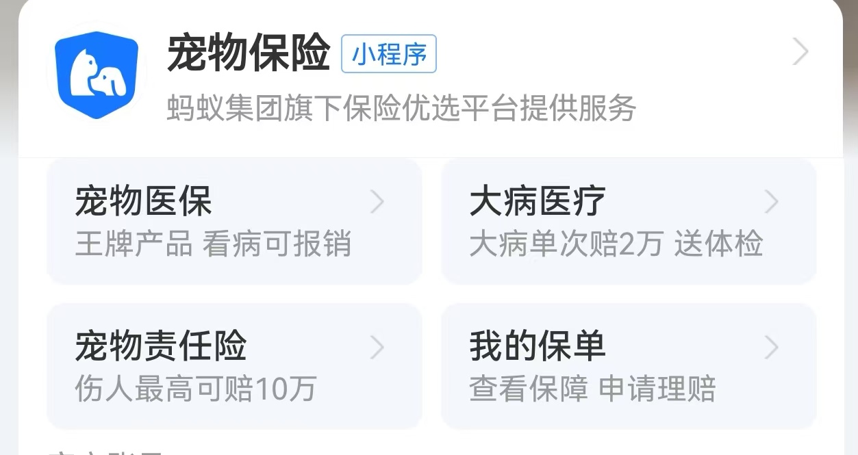 宠物险市场“蓝海”下，“成本高”与“赔得少”之困