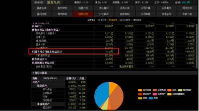 退市九有信披违规频现，索赔前景堪忧！