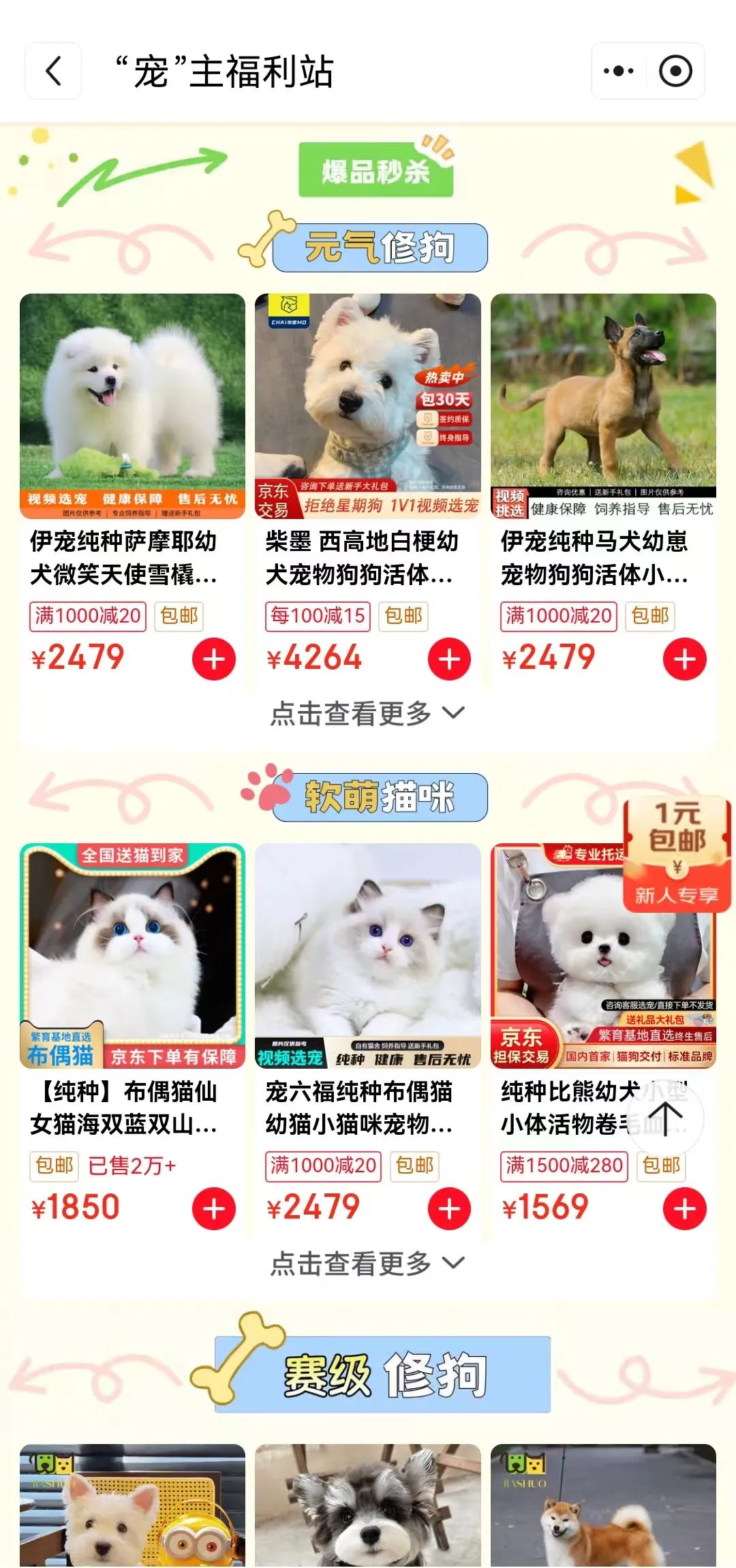 刘强东大搞AI聊天