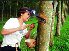 如何购买期货橡胶？购买期货橡胶有哪些要点？