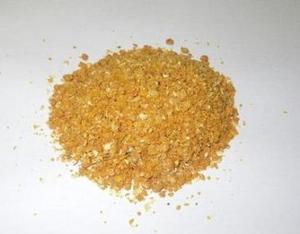 为何豆粕期权有好多价格？价格差异的原因是什么？